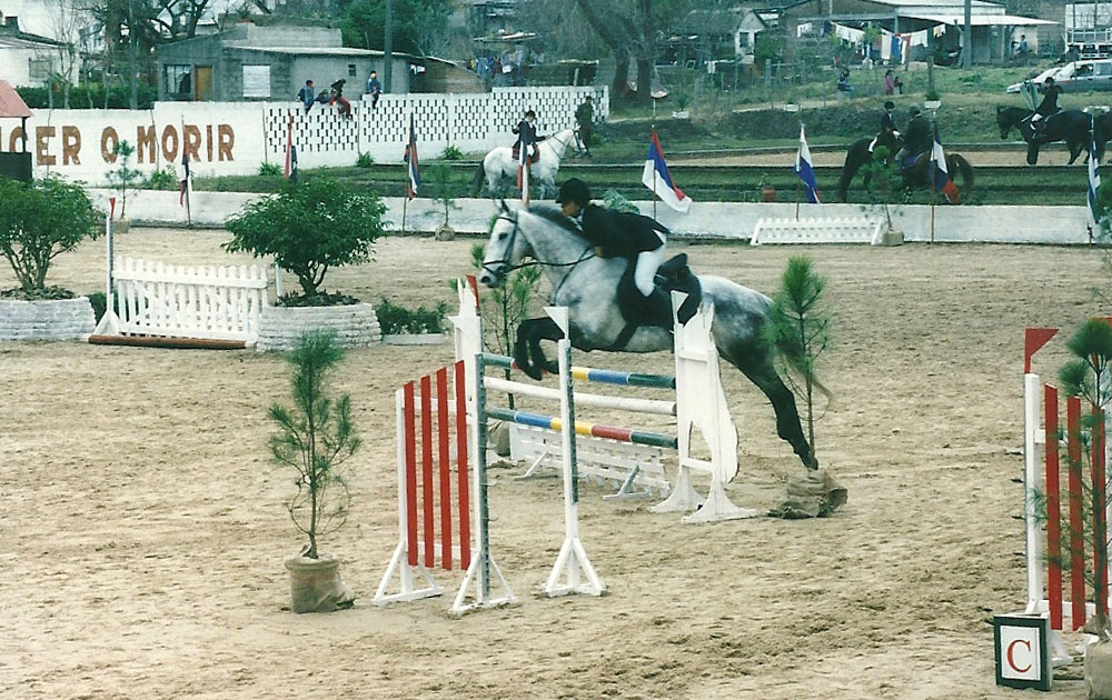 Pegaso jumping